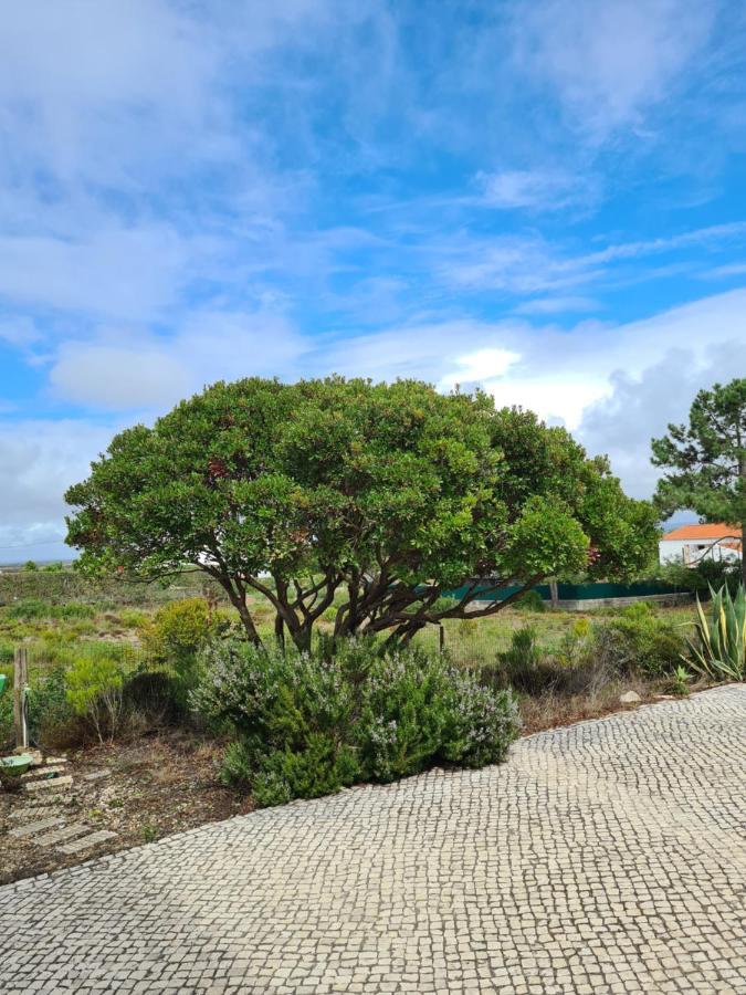 Casa Ensolarada B&B And Pottery Aljezur Extérieur photo