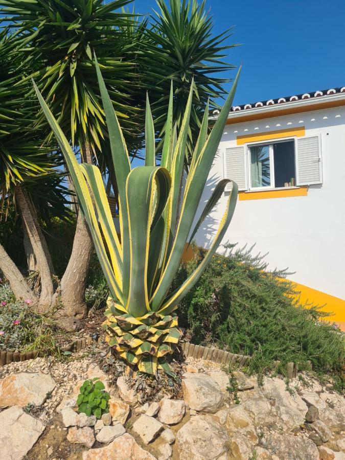 Casa Ensolarada B&B And Pottery Aljezur Extérieur photo